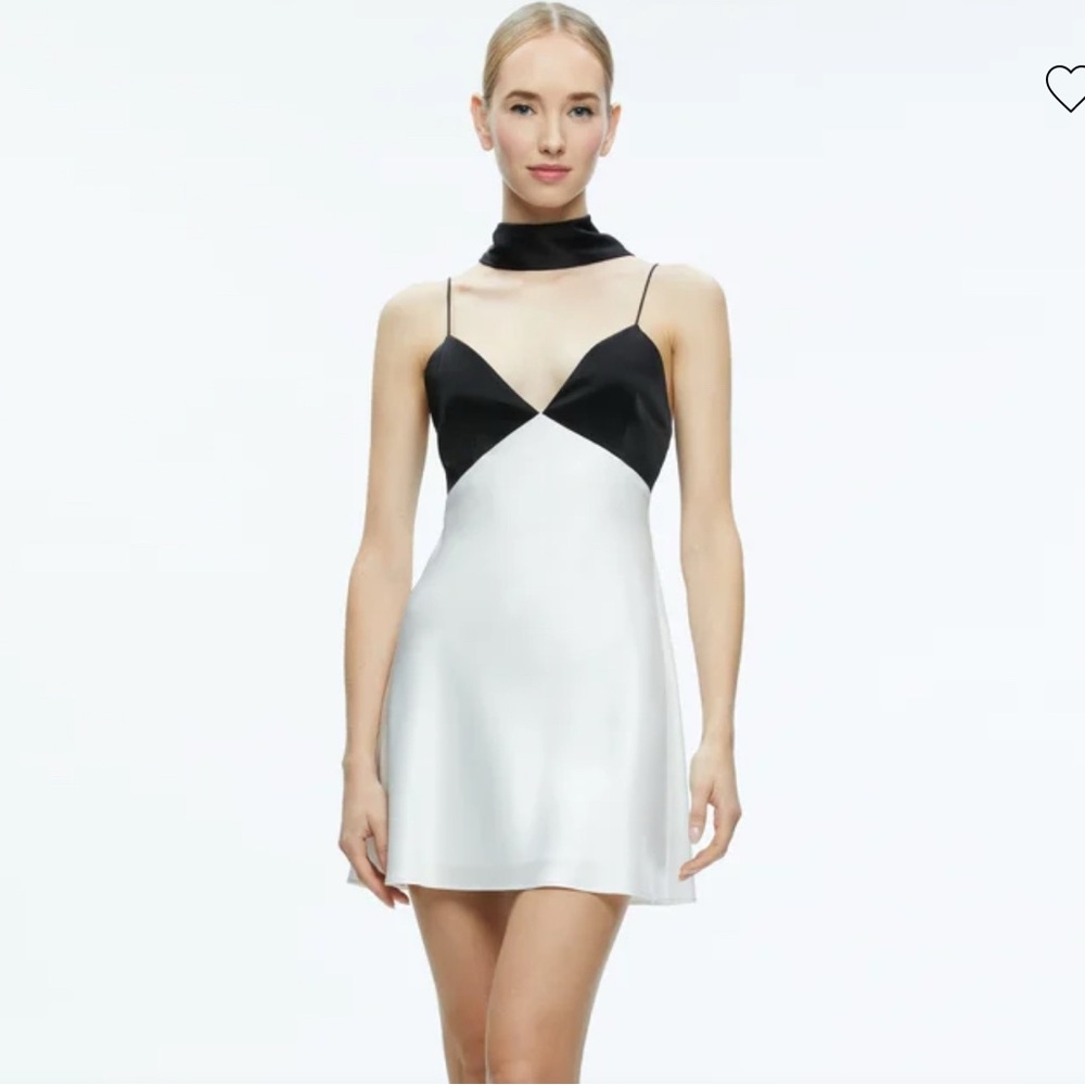 Alice + Olivia Black and White Slip Dress